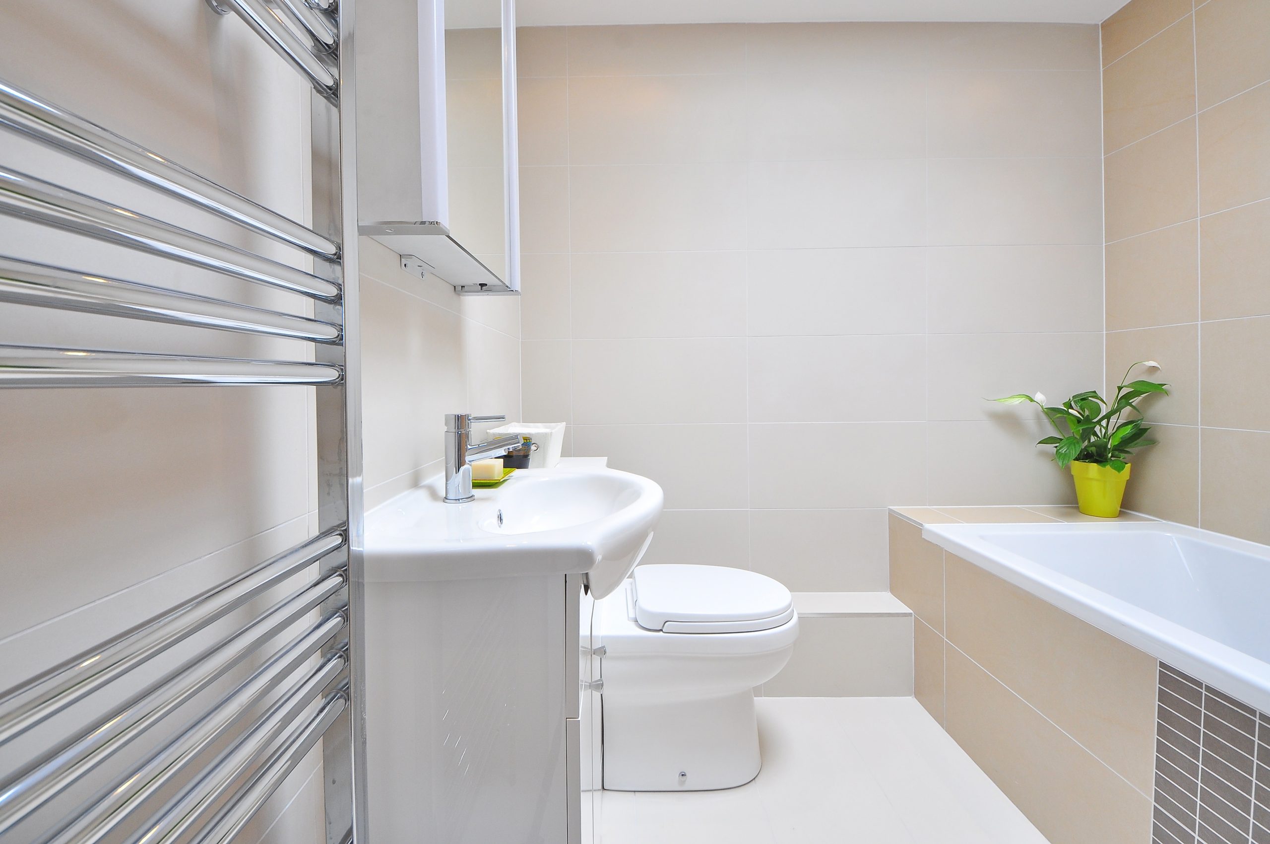 bathroom_luxury_luxury_bathroom_0